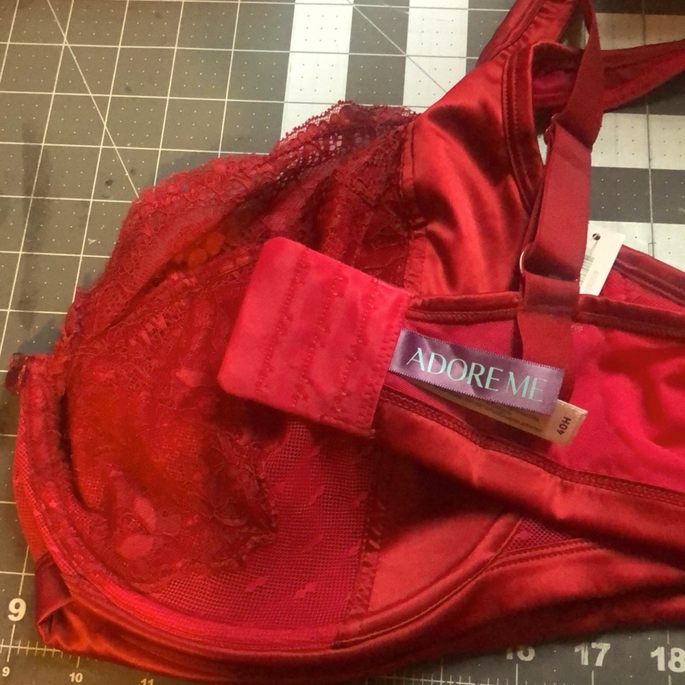 Scarlet Red Lace Bra